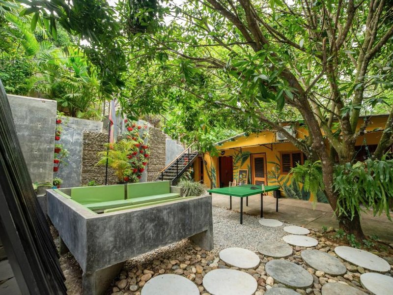 Costeño River Minca (Costeno River Minca)の写真