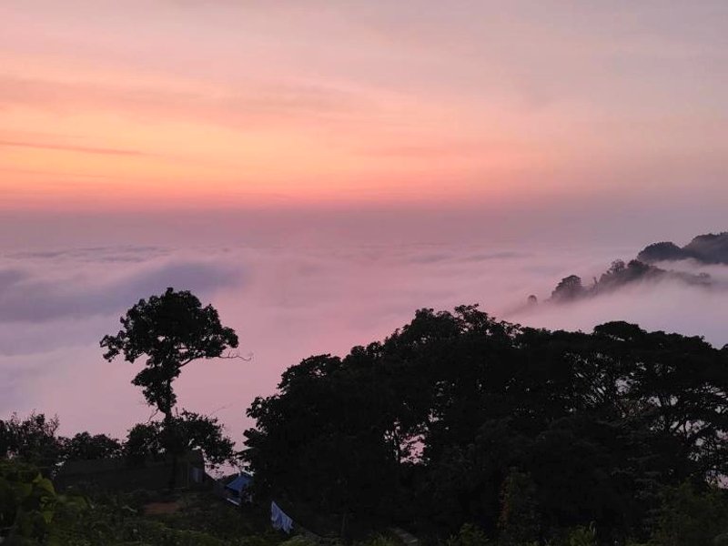 Minca Sintropia - Sustainable Lodge & Organic Coffee Fincaの写真