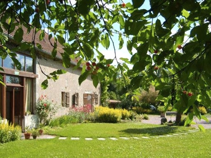 Obouducheminの写真