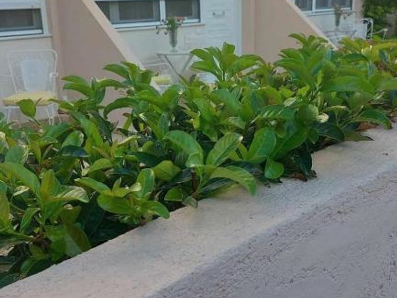 NN Rooms and Suites near Athens Airportの写真