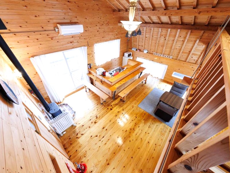 with dog 和歌山の写真