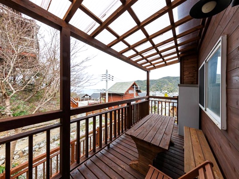 with dog 和歌山の写真