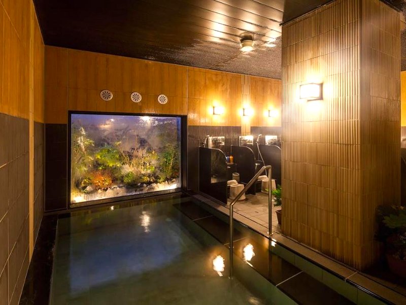 ホテルルートイン東広島西条駅前		 (Hotel Route Inn Higashi Hiroshima Saijo Ekimae)の写真