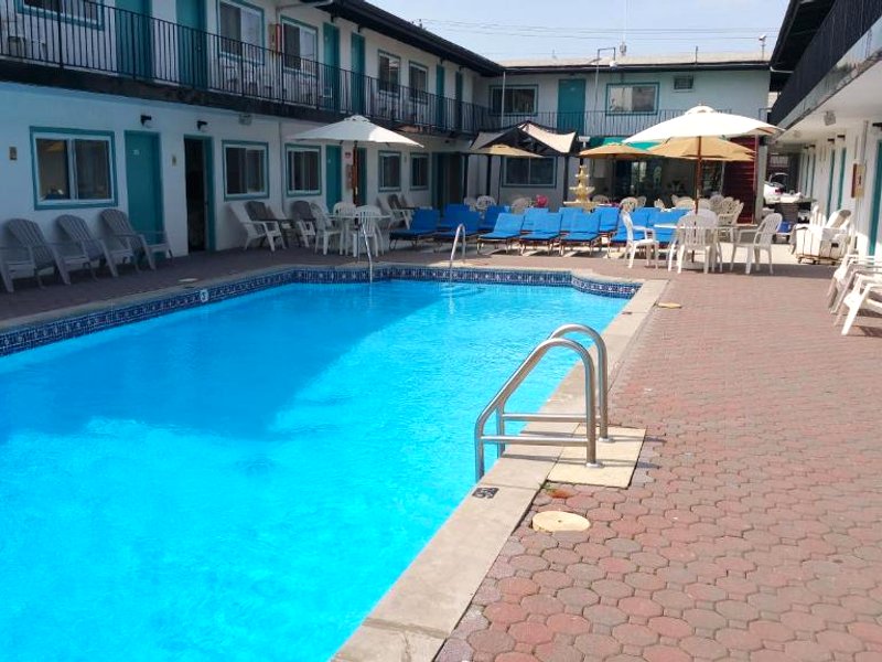 The Amethyst Beach Motelの写真