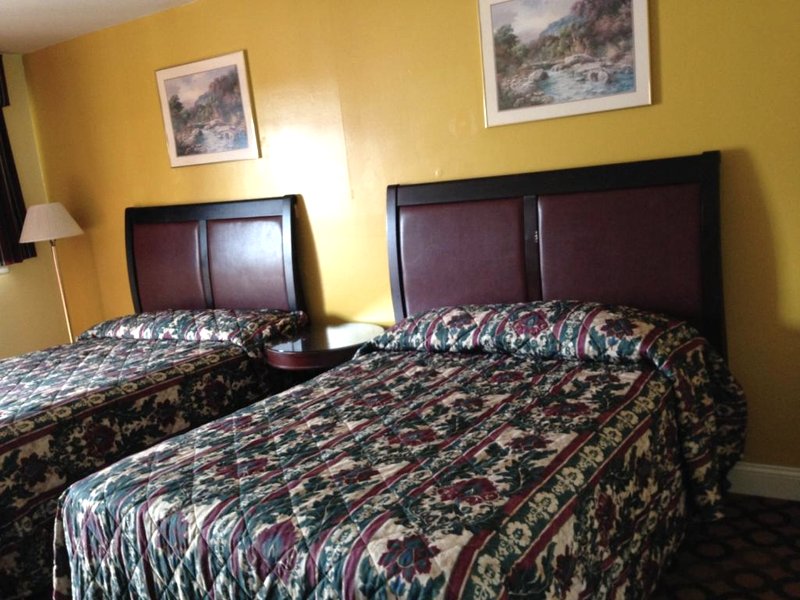 Flamingo Innの写真