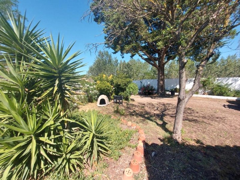 La guinguetteの写真