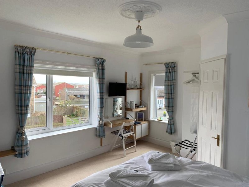 Holly Treesの写真