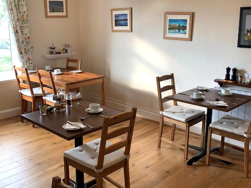 Holly Treesの写真