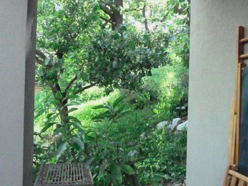 B&B Rosenrotの写真