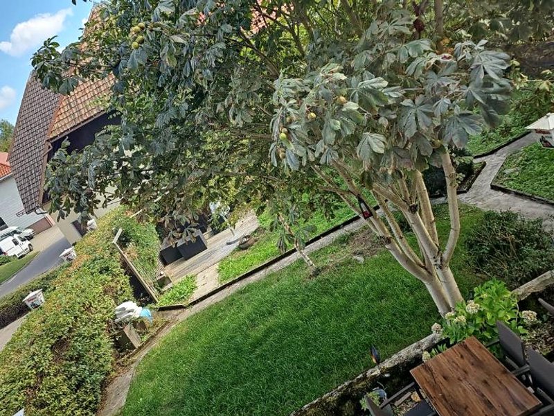 Gasthof zum Hirschenの写真