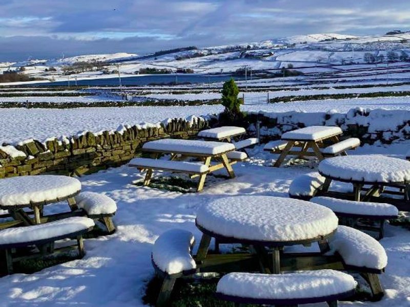 The Boshaw Troutの写真