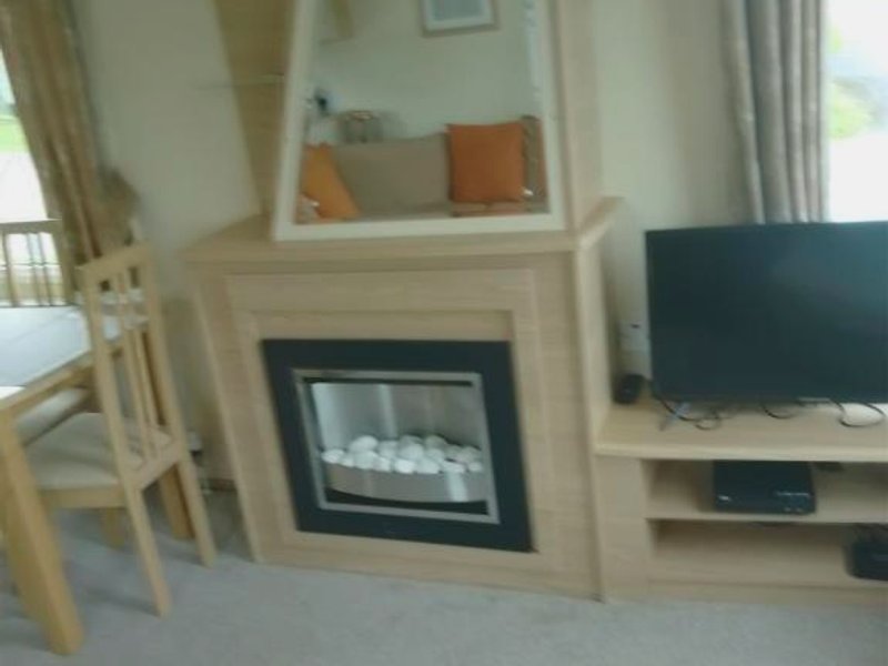 Rabbit viewsの写真