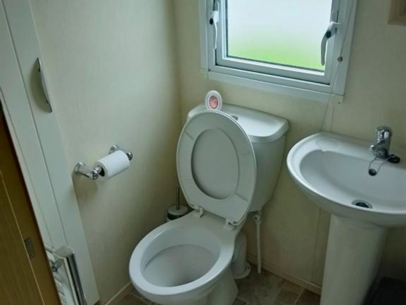 Rabbit viewsの写真