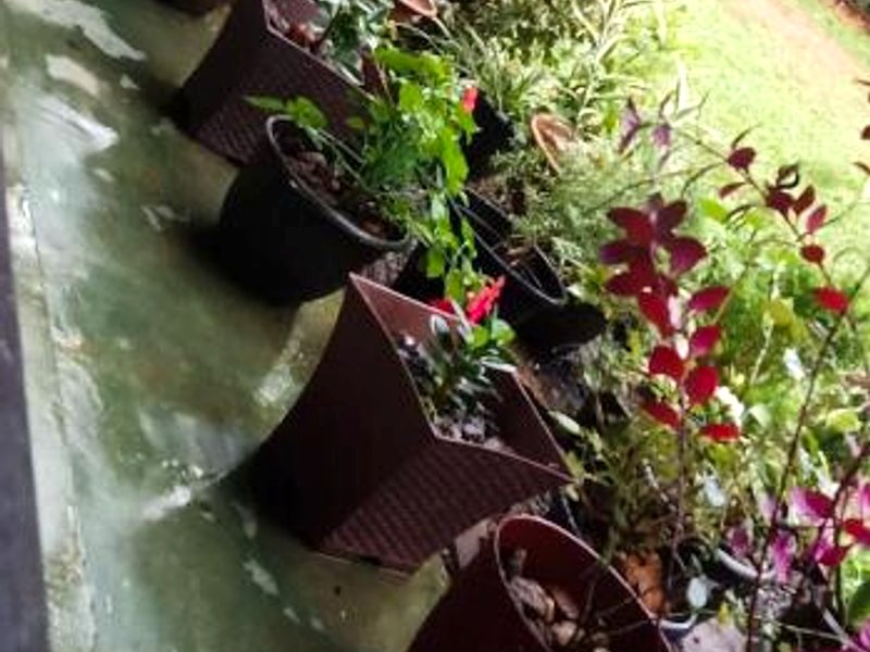 Village Breeze Homestayの写真