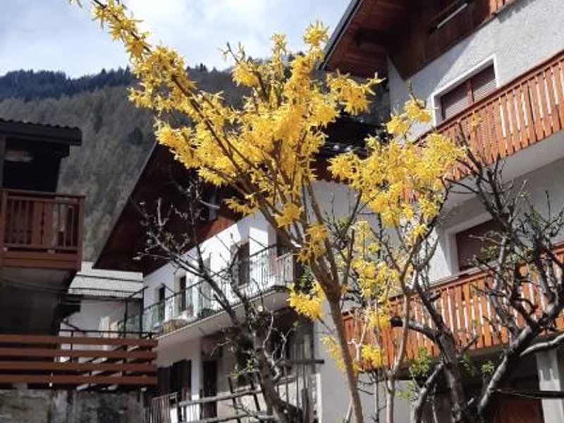 CASA MASCIAの写真