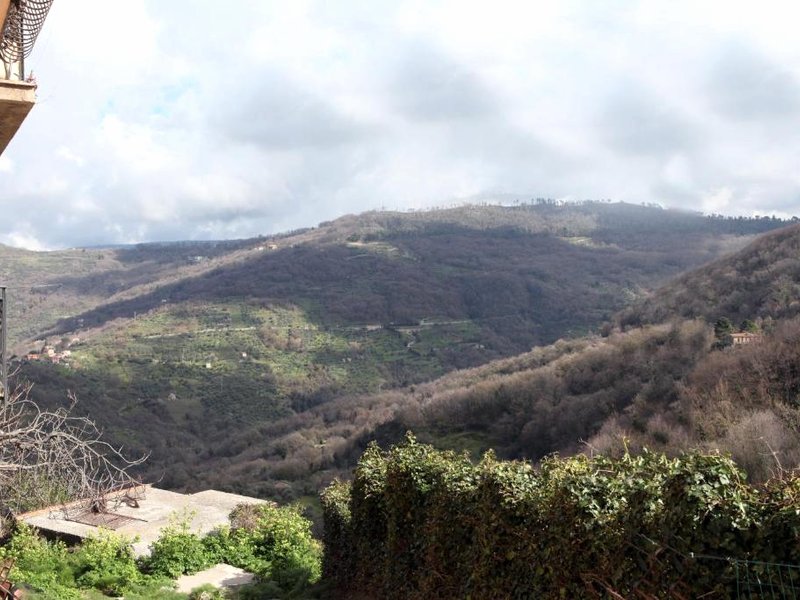 Al Cantelloの写真