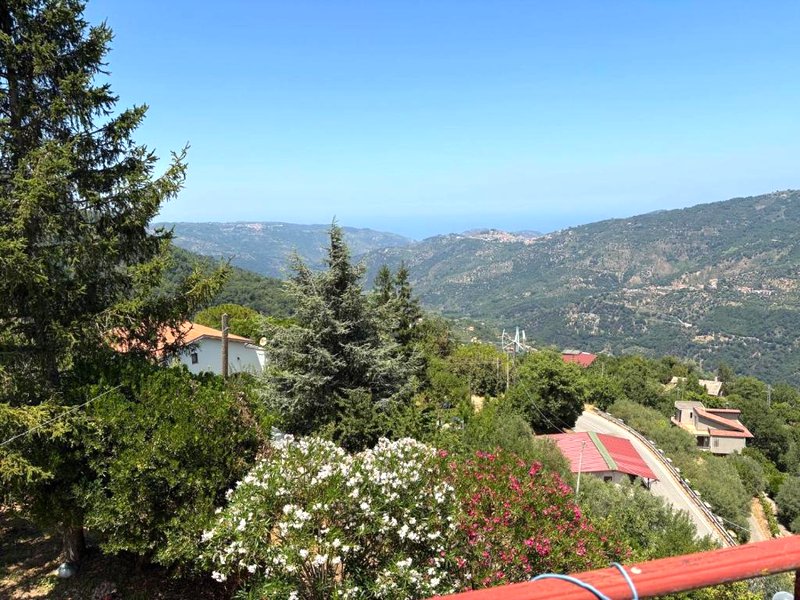 Hotel La Quieteの写真