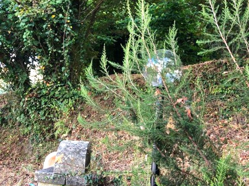 Hotel La Quieteの写真