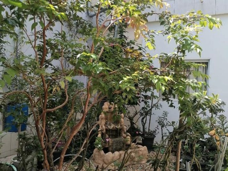 Quarto para Rapazes no Centro Sinop MTの写真