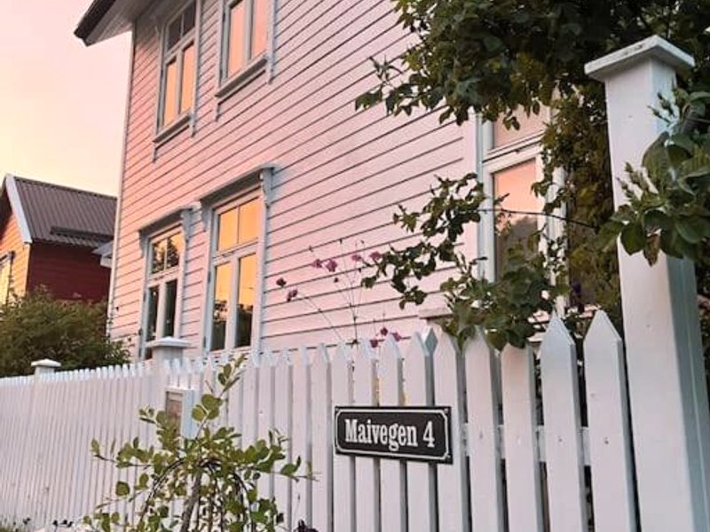 Exclusive 1920 century villa 10 min from AirPortの写真