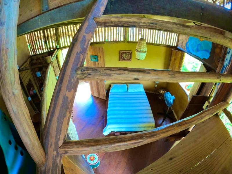 Raizes Eco Hostelの写真