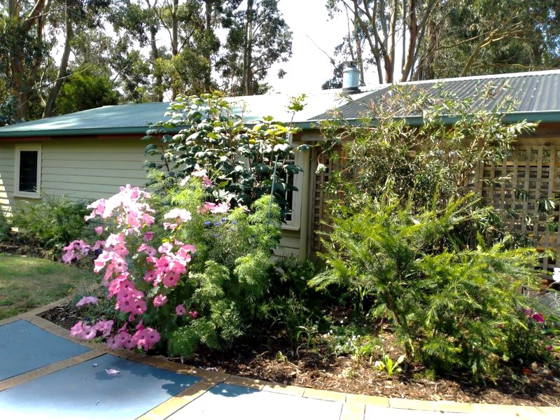 The Olive House Tasmaniaの写真