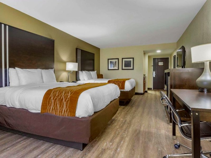 Comfort Innの写真