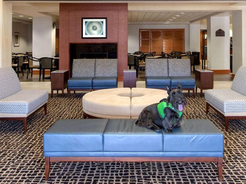 ウィンゲート バイ ウインダム シャンティリー ダラス エアポート (Wingate by Wyndham Chantilly / Dulles Airport)の写真