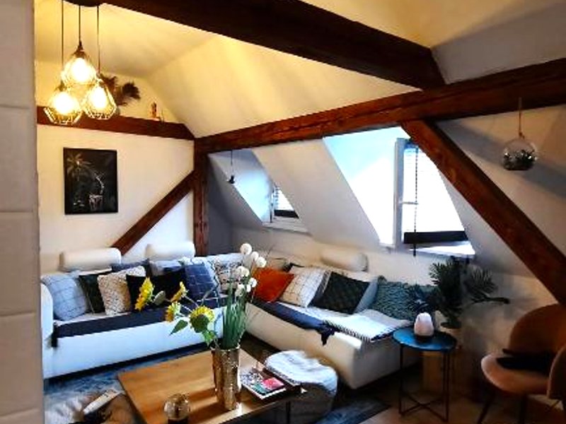 Charmant Appartement proche Strasbourg à Eckwersheim (Charmant Appartement proche Strasbourg a Eckwersheim)の写真
