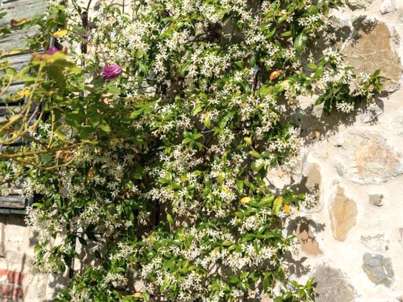 Cá Pradella - Harmony and Nature, Bed & Breakfast (Ca Pradella - Harmony and Nature, Bed & Breakfast)の写真