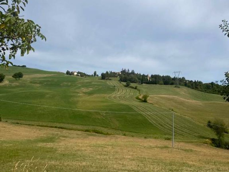 La Corte dei Celti 7の写真