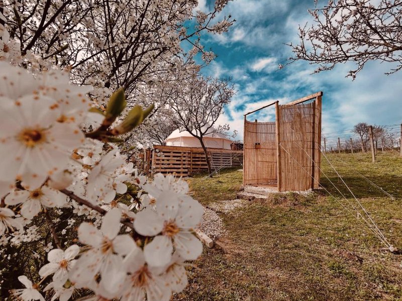 Osada na hůrce (Osada na hurce)の写真