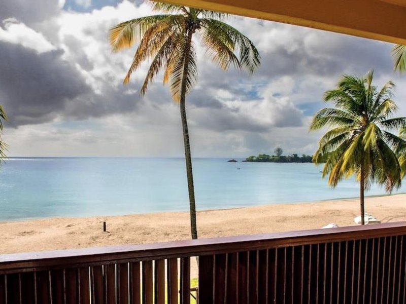 Starfish Tobagoの写真