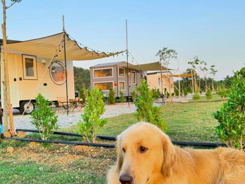 เติมฝัน แคมป์ปิ้งの写真