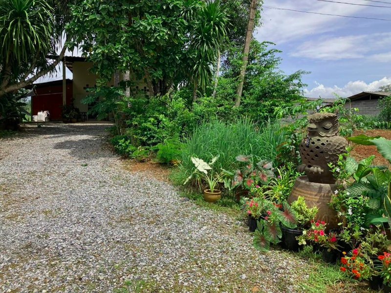 Rosemary Rayongの写真