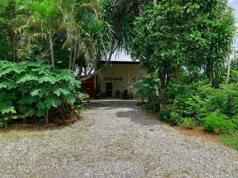 Rosemary Rayongの写真