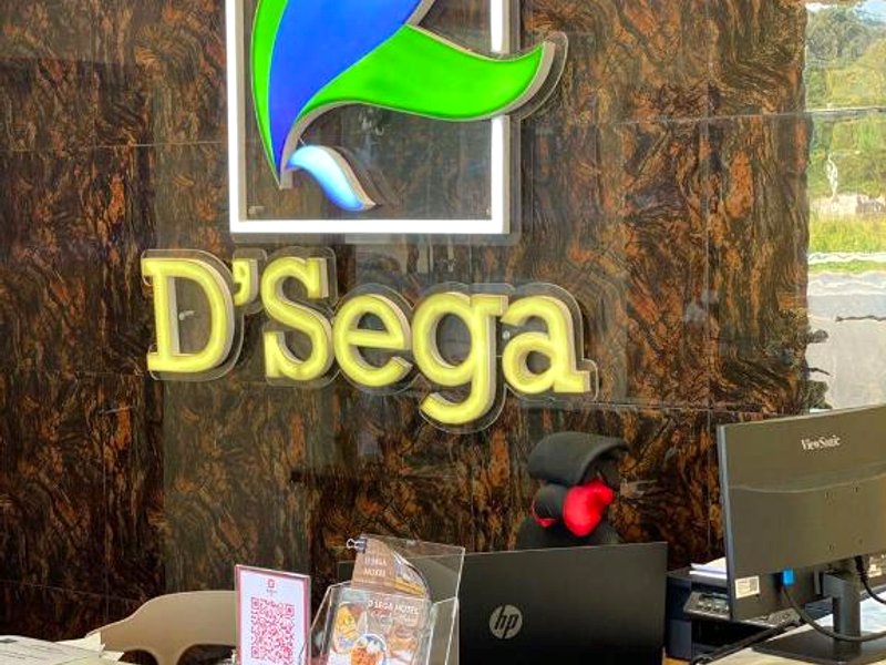 D SEGA HOTELの写真
