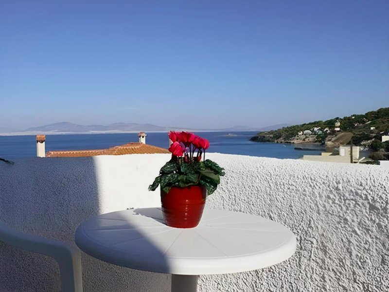 Blue Dolphin Studios and Apartmentの写真