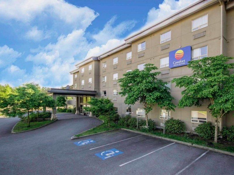 Comfort Inn & Suitesの写真