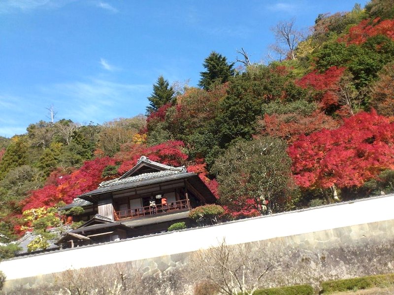 食堂民宿さと山 (Minsyuku Satoyama)の写真