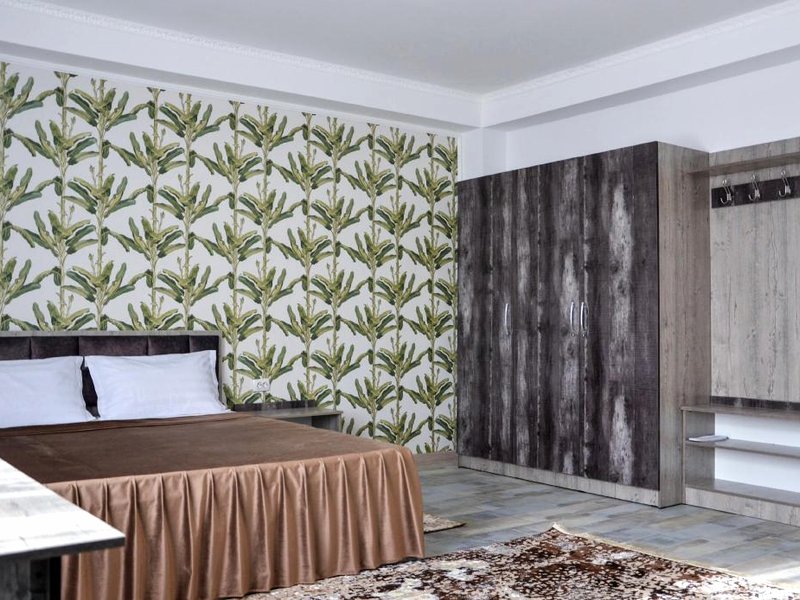 Kolesey-Колесей, гостиницаの写真