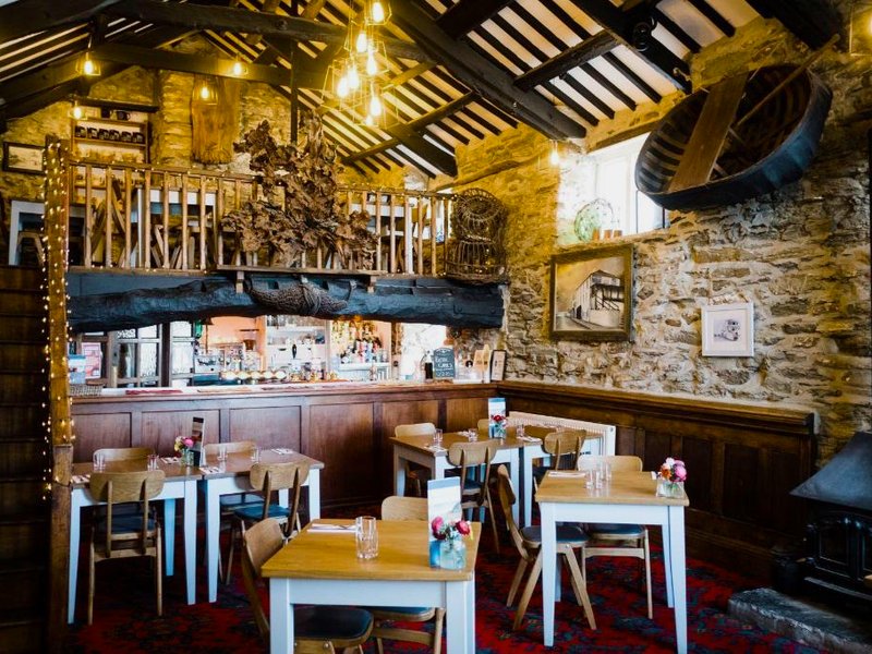 Driftwood Sparsの写真