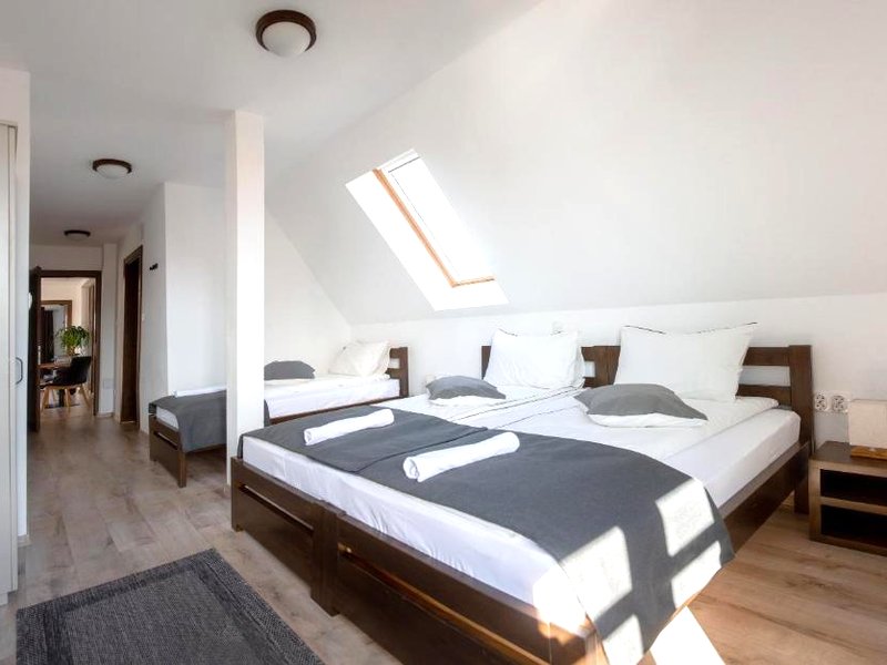 Csató Panzió - Pensiunea Csató (Csato Panzio - Pensiunea Csato)の写真