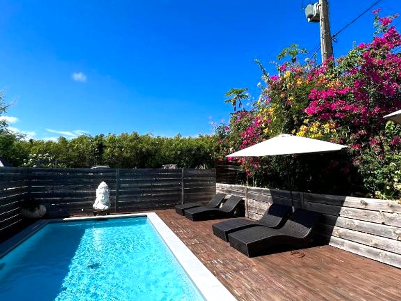 The BlueBambooの写真