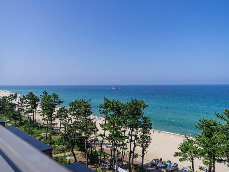 ブラウン ドット 江陵 慶浦 (Brown Dot Gangneung Gyeongpo)の写真