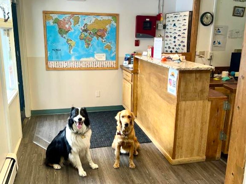 Marina Motelの写真