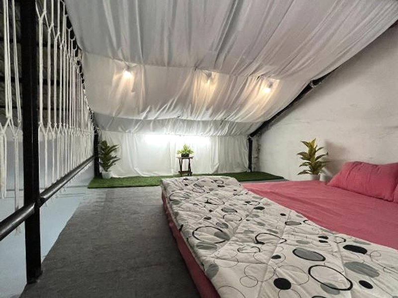 Vanilla Farmsの写真