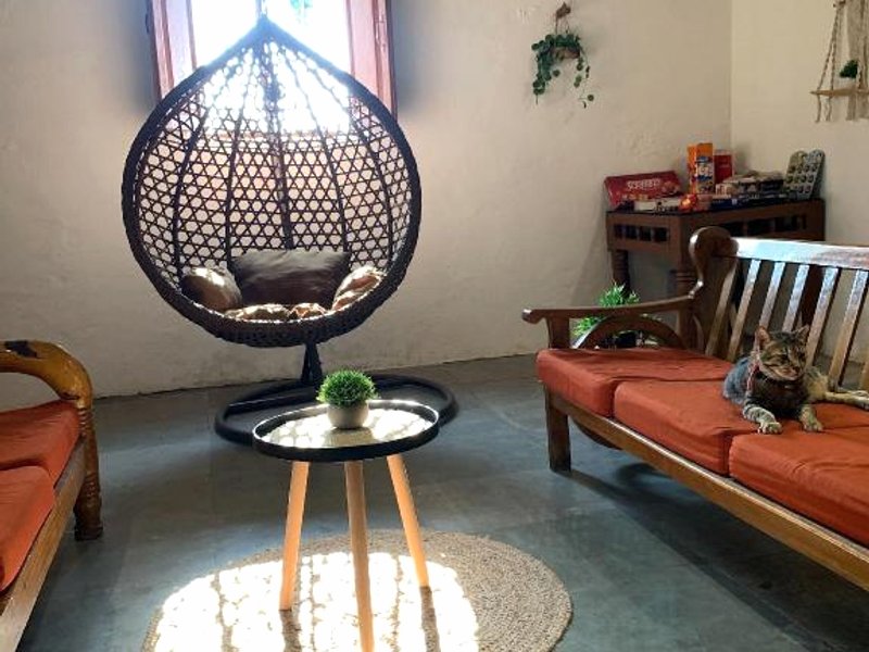 Vanilla Farmsの写真