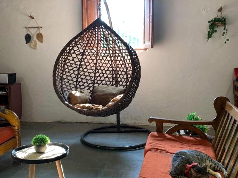 Vanilla Farmsの写真