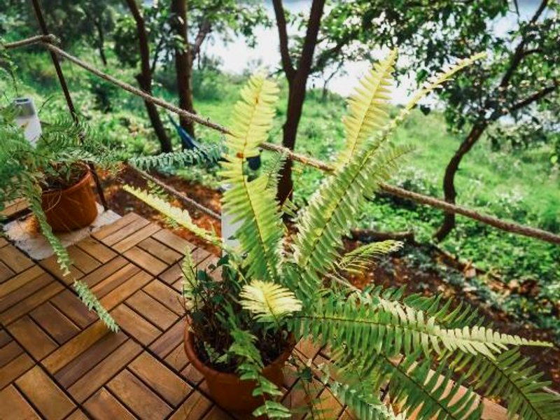 Wind over Waters Cabin 2の写真